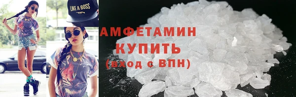 PSILOCYBIN Алзамай