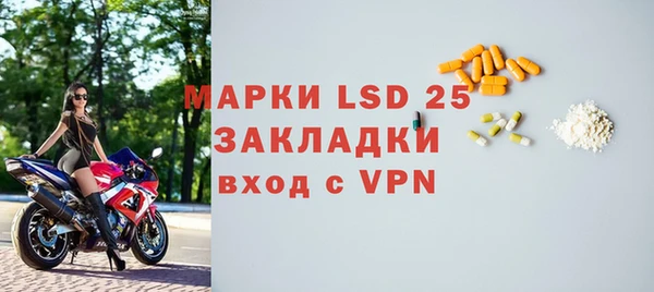 PSILOCYBIN Алзамай