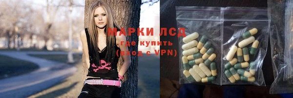 PSILOCYBIN Алзамай