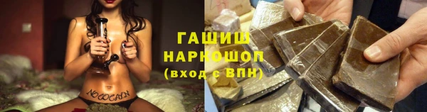 PSILOCYBIN Алзамай