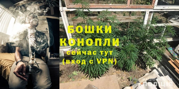 ПСИЛОЦИБИНОВЫЕ ГРИБЫ Алексеевка