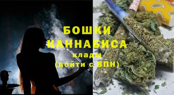 PSILOCYBIN Алзамай