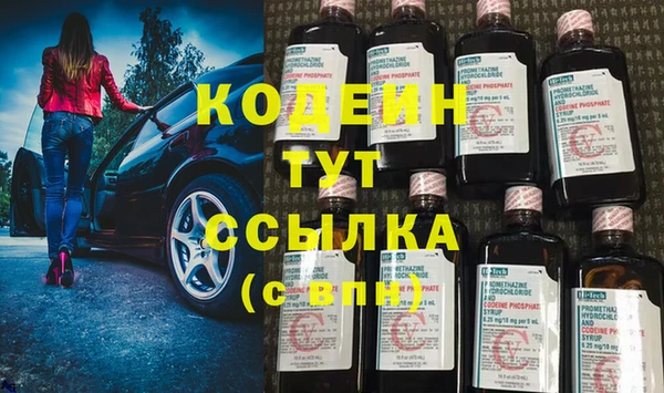 PSILOCYBIN Алзамай