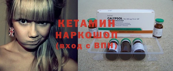 PSILOCYBIN Алзамай