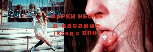 PSILOCYBIN Алзамай